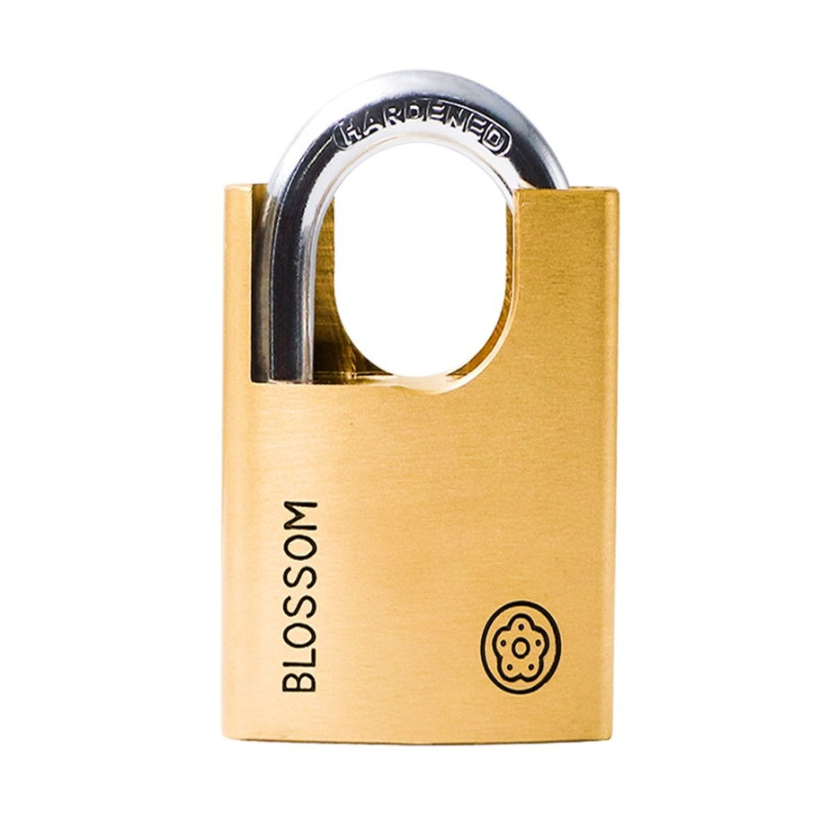 Padlock Brass Protected Shackle 50mm