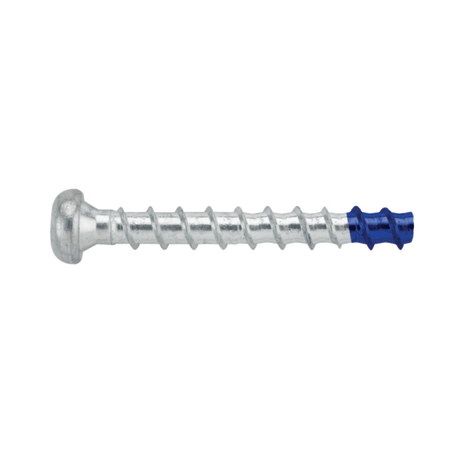 Screw Bolt Pan Head Blue Tip Zinc 6x40mm Box 50